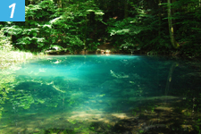 steps such as source protection and monitoring, and treatment such as micron filtration, ultra-violet disinfection, and ozonation. We utilize ozone instead of chlorine because it leaves no residual and it does not cause a taste or odor problem. Ozone is oxygen which is bubbled through water just before it goes into a clean, sanitized bottle. Within a few hours after the bottle has been filled and capped, the ozone dissipates or converts back to the same form of oxygen that we breathe.